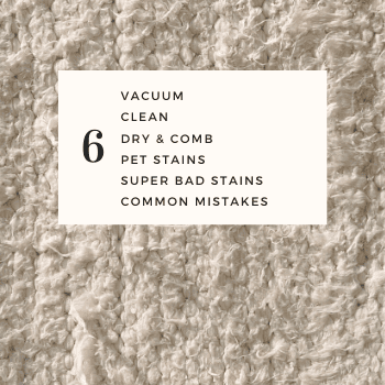 6 tips for spring cleaning persian and oriental vintage rugs