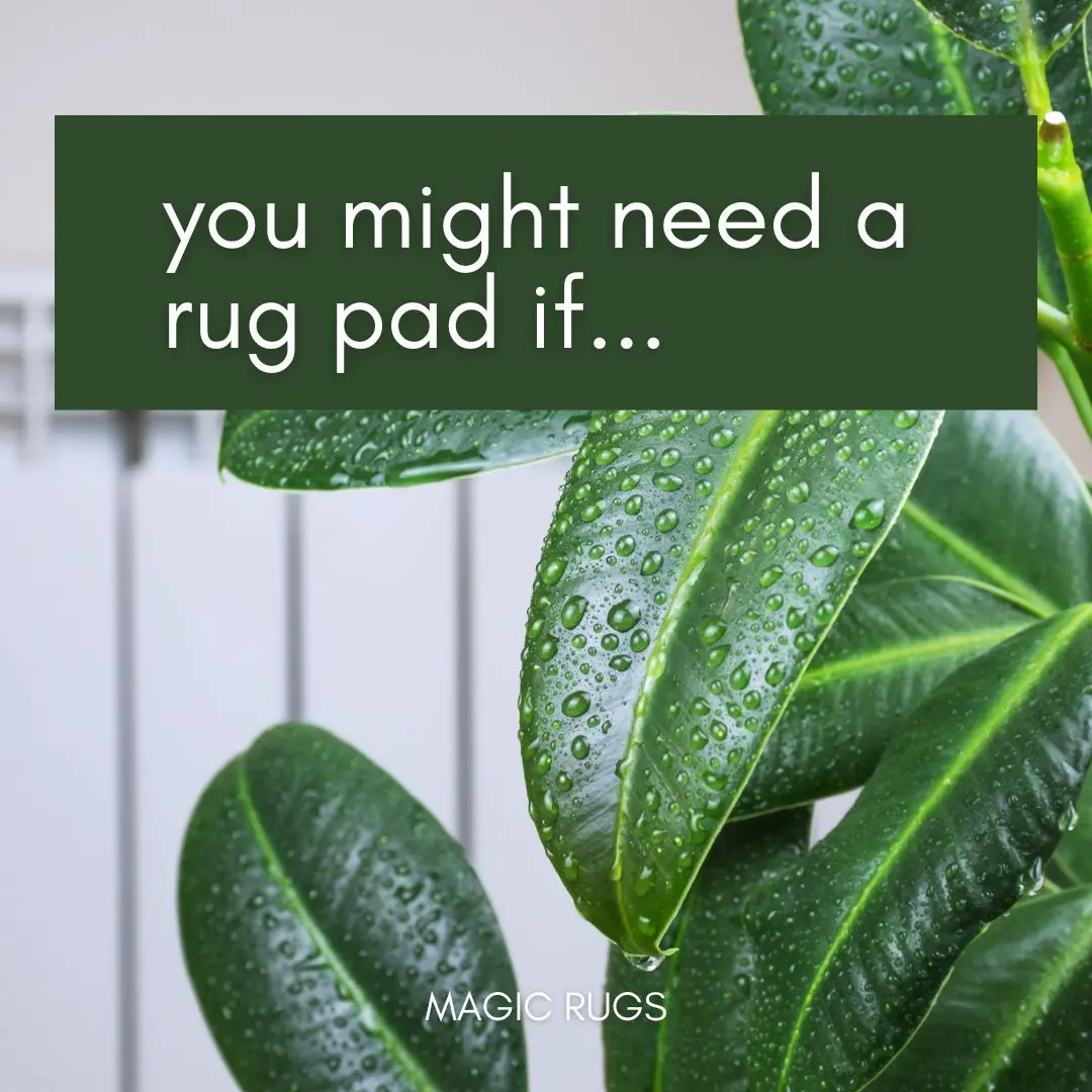 MR Best Color Rugs for Hardwood Floors 4