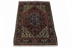 Floral Bittersweet Red 3X4 Bidjar Persian Rug