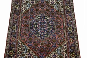 Floral Bittersweet Red 3X4 Bidjar Persian Rug