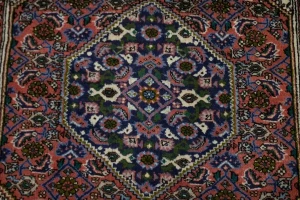 Floral Bittersweet Red 3X4 Bidjar Persian Rug