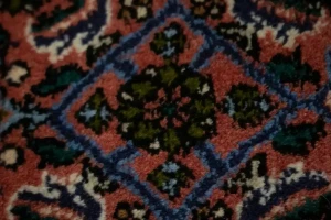 Floral Bittersweet Red 3X4 Bidjar Persian Rug