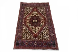 Vintage Floral Geometric 3X5 Bidjar Persian Rug