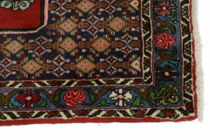 Red Floral 3X9 Bidjar Persian Runner Rug