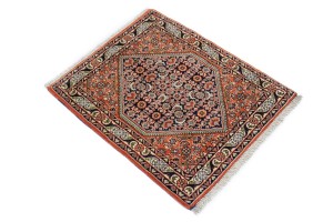 Orange Tribal 1'9X2'2 Bidjar Persian Rug