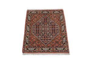 Orange Tribal 1'9X2'2 Bidjar Persian Rug