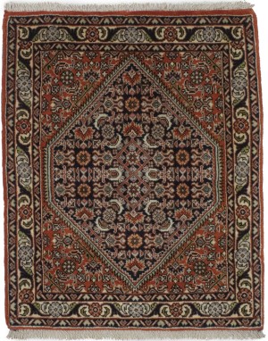 Orange Tribal 1'9X2'2 Bidjar Persian Rug