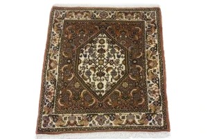 Vintage Clay Tribal 2X2'4 Bidjar Persian Rug