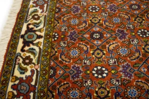 Vintage Orange Floral 4X5 Bidjar Persian Oriental Rug