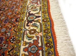 Vintage Orange Floral 4X5 Bidjar Persian Oriental Rug