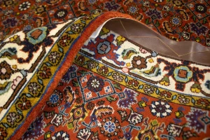 Vintage Orange Floral 4X5 Bidjar Persian Oriental Rug