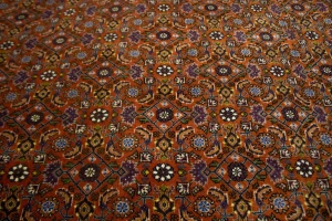 Vintage Orange Floral 4X5 Bidjar Persian Oriental Rug