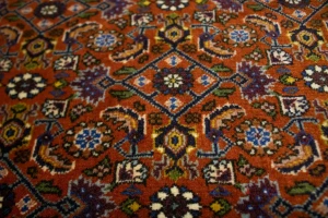 Vintage Orange Floral 4X5 Bidjar Persian Oriental Rug