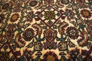 Rusty Peach Vintage Floral 4X6 Bidjar Persian Oriental Rug