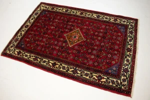 Red Vintage Tribal 3X5 Pictorial Hamedan Persian Oriental Rug
