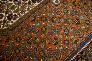 Vintage Floral Orange 4X5 Bidjar Persian Rug