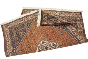 Vintage Floral Orange 4X5 Bidjar Persian Rug