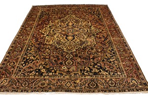 Antique Rust Tribal 10X13 Bakhtiari Persian Rug