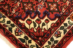 Bittersweet Red Floral 3X5 Hamedan Persian Rug