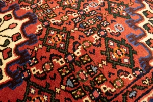 Bittersweet Red Floral 3X5 Hamedan Persian Rug
