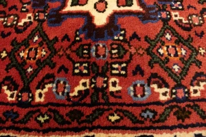 Bittersweet Red Floral 3X5 Hamedan Persian Rug