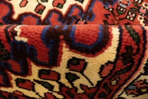 Bittersweet Red Floral 3X5 Hamedan Persian Rug