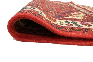 Bittersweet Red Floral 3X5 Hamedan Persian Rug