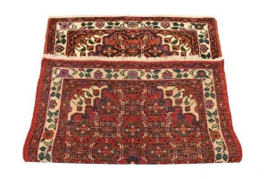 Bittersweet Red Floral 3X5 Hamedan Persian Rug