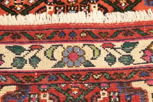 Bittersweet Red Floral 3X5 Hamedan Persian Rug