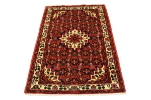 Bittersweet Red Floral 3X5 Hamedan Persian Rug