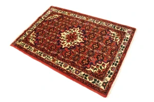 Bittersweet Red Floral 3X5 Hamedan Persian Rug