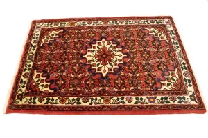 Bittersweet Red Floral 3X5 Hamedan Persian Rug
