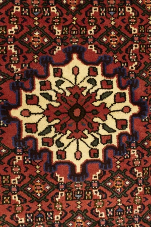 Bittersweet Red Floral 3X5 Hamedan Persian Rug