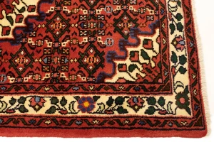 Bittersweet Red Floral 3X5 Hamedan Persian Rug