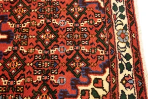 Bittersweet Red Floral 3X5 Hamedan Persian Rug