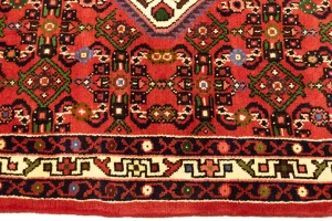 Bittersweet Red Floral 3X5 Hamedan Persian Rug