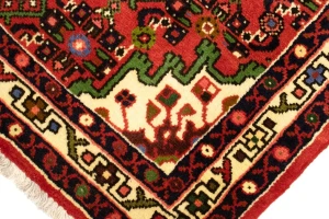 Bittersweet Red Floral 3X5 Hamedan Persian Rug