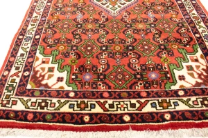 Bittersweet Red Floral 3X5 Hamedan Persian Rug