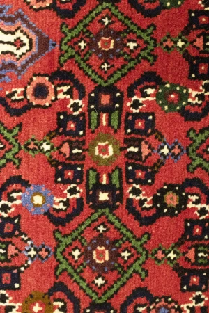 Bittersweet Red Floral 3X5 Hamedan Persian Rug