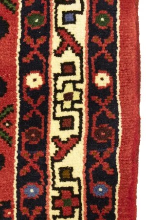 Bittersweet Red Floral 3X5 Hamedan Persian Rug