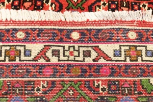 Bittersweet Red Floral 3X5 Hamedan Persian Rug