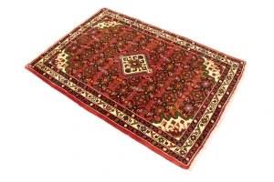Bittersweet Red Floral 3X5 Hamedan Persian Rug