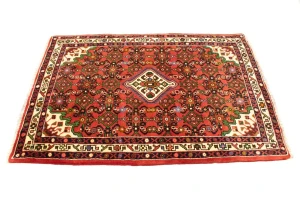 Bittersweet Red Floral 3X5 Hamedan Persian Rug