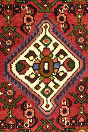 Bittersweet Red Floral 3X5 Hamedan Persian Rug