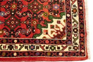 Bittersweet Red Floral 3X5 Hamedan Persian Rug