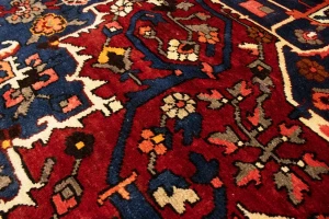 Vintage Red Floral 10X12 Bakhtiari Persian Rug