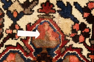 Vintage Red Floral 10X12 Bakhtiari Persian Rug