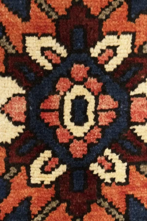 Vintage Red Floral 10X12 Bakhtiari Persian Rug