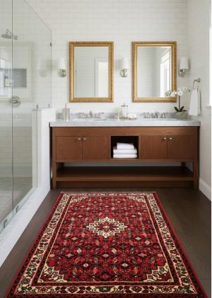 Bittersweet Red Tribal 3'6X5'0 Hamedan Persian Rug