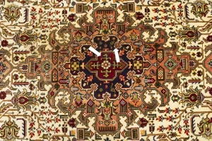 Cream 7X10 Floral Classic Vintage Oriental Persian Rug